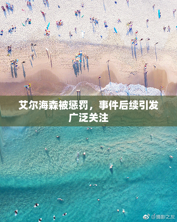 艾尔海森被惩罚，事件后续引发广泛关注