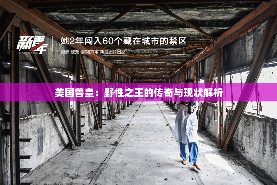 美国兽皇：野性之王的传奇与现状解析
