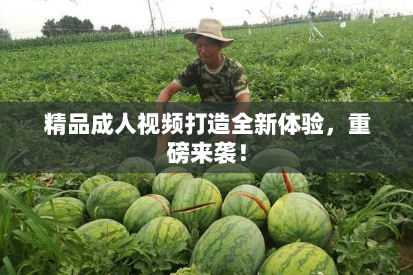 精品成人视频打造全新体验，重磅来袭！