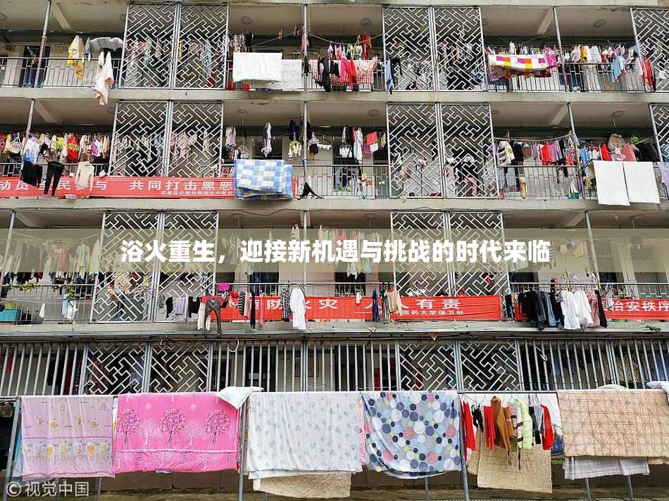 浴火重生，迎接新机遇与挑战的时代来临