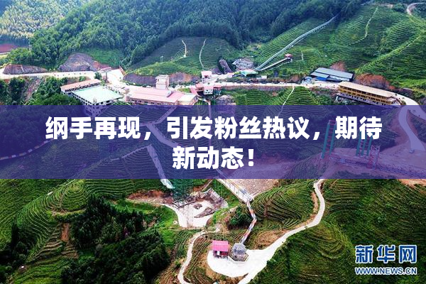 纲手再现，引发粉丝热议，期待新动态！