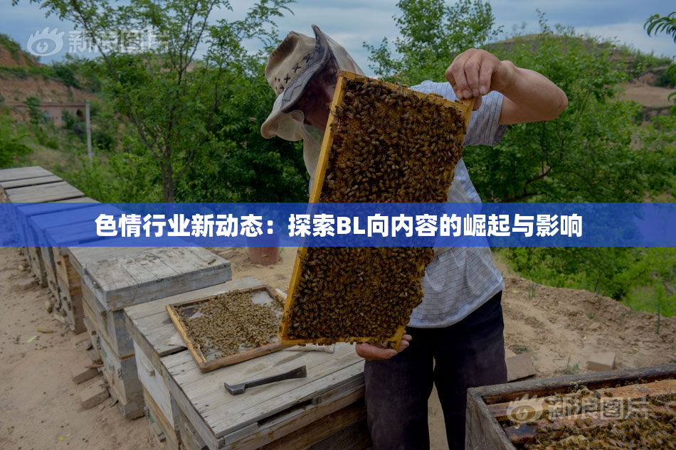 色情行业新动态：探索BL向内容的崛起与影响