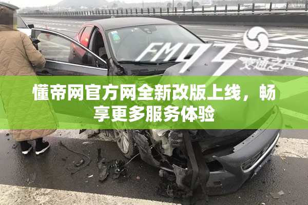 懂帝网官方网全新改版上线，畅享更多服务体验
