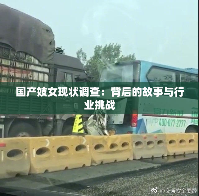 国产妓女现状调查：背后的故事与行业挑战