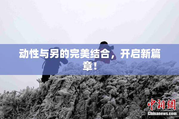 动性与另的完美结合，开启新篇章！
