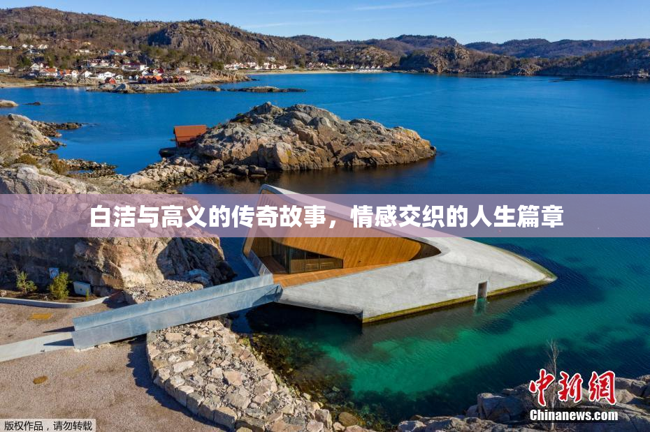 白洁与高义的传奇故事，情感交织的人生篇章