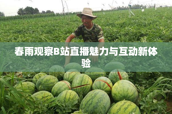 春雨观察B站直播魅力与互动新体验