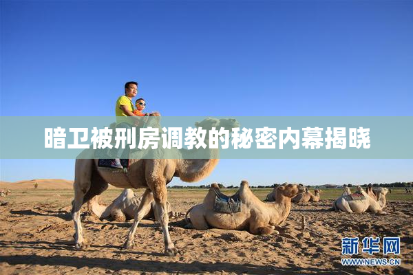 暗卫被刑房调教的秘密内幕揭晓
