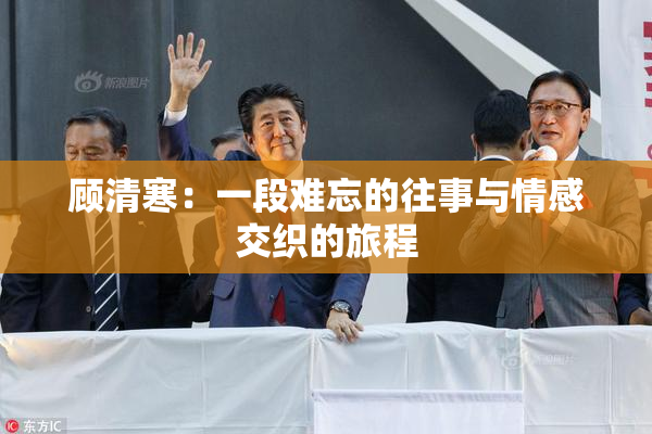 顾清寒：一段难忘的往事与情感交织的旅程