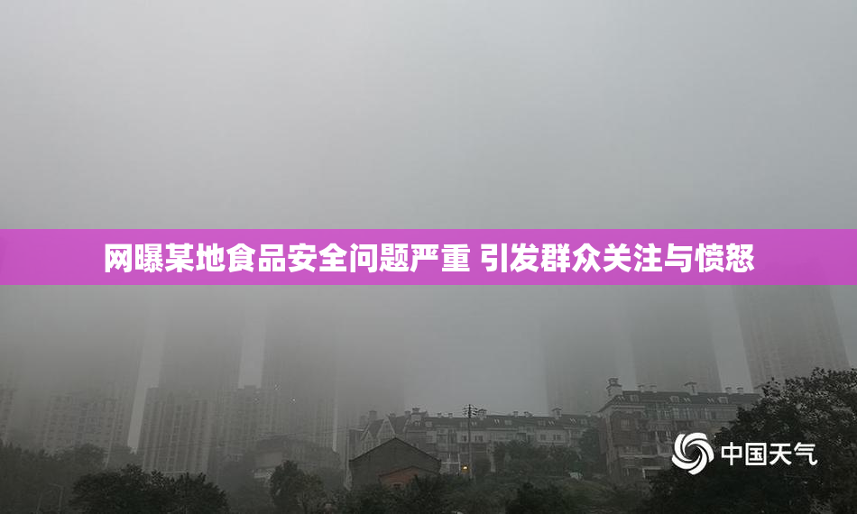 网曝某地食品安全问题严重 引发群众关注与愤怒