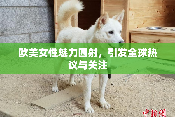 欧美女性魅力四射，引发全球热议与关注