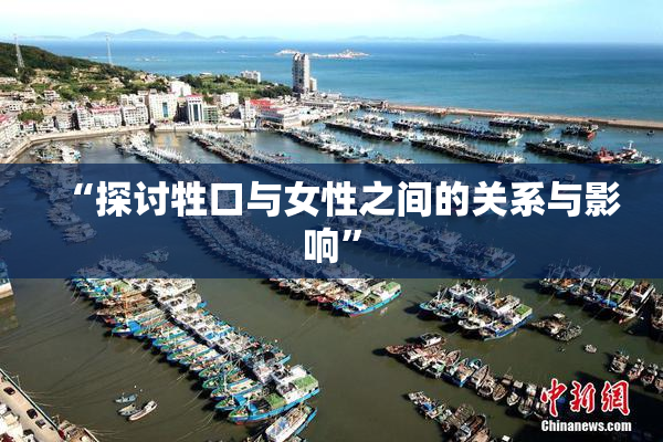 “探讨牲口与女性之间的关系与影响”