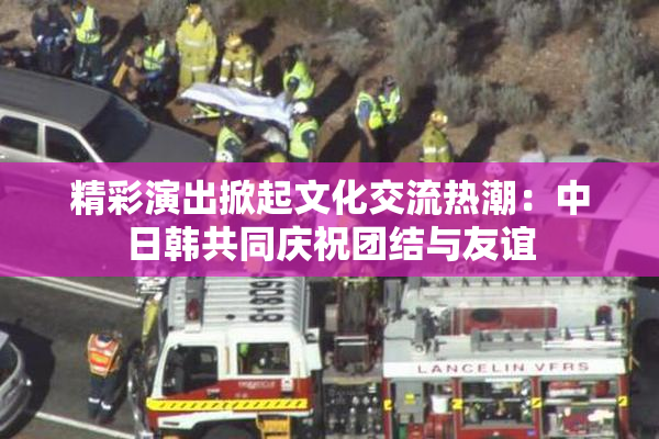 精彩演出掀起文化交流热潮：中日韩共同庆祝团结与友谊