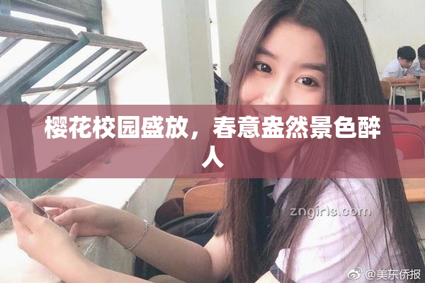 樱花校园盛放，春意盎然景色醉人