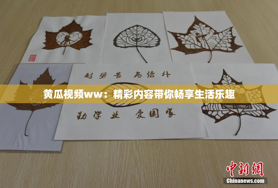 黄瓜视频ww：精彩内容带你畅享生活乐趣