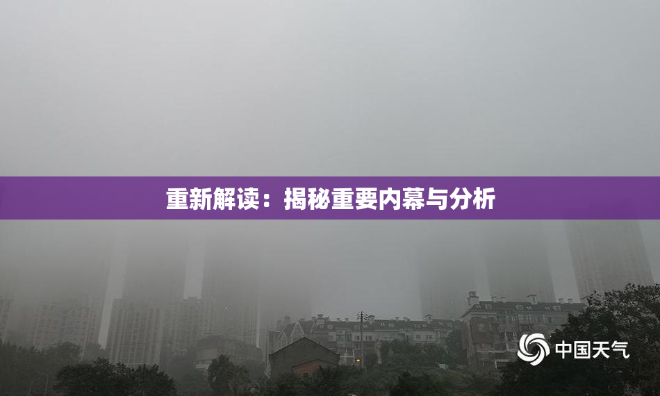 重新解读：揭秘重要内幕与分析