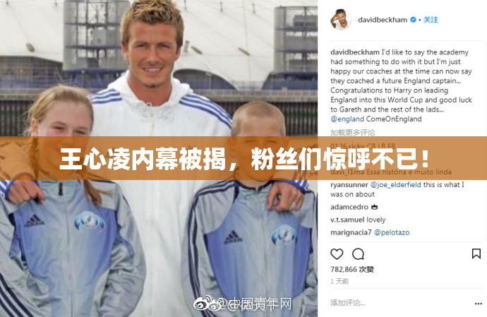 王心凌内幕被揭，粉丝们惊呼不已！