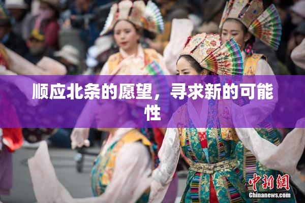 顺应北条的愿望，寻求新的可能性