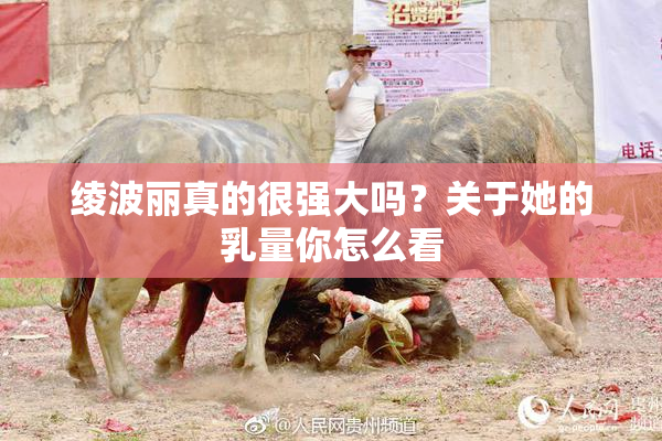 绫波丽真的很强大吗？关于她的乳量你怎么看