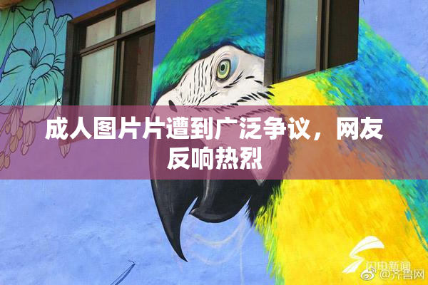成人图片片遭到广泛争议，网友反响热烈