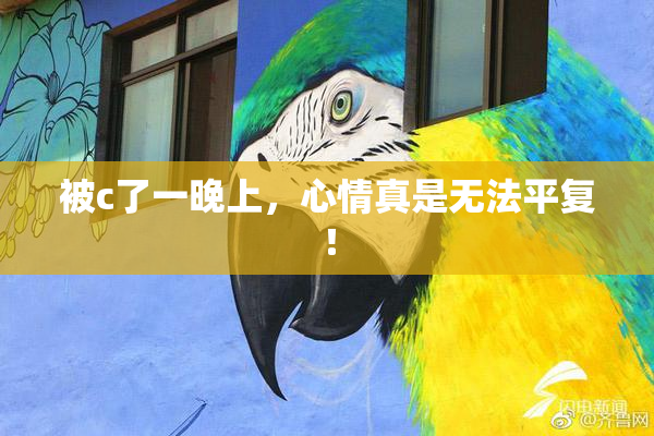 被c了一晚上，心情真是无法平复！