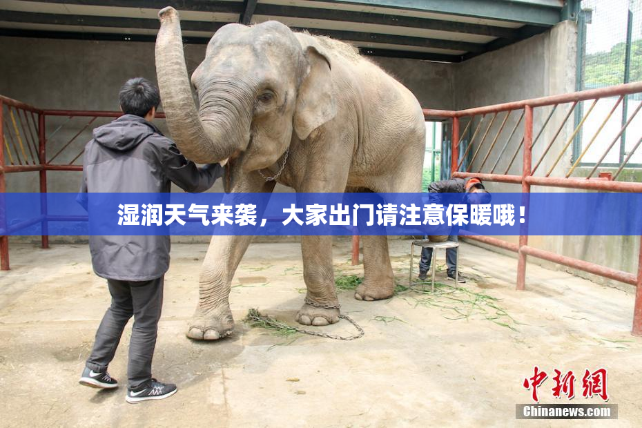 湿润天气来袭，大家出门请注意保暖哦！