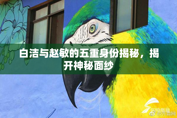 白洁与赵敏的五重身份揭秘，揭开神秘面纱