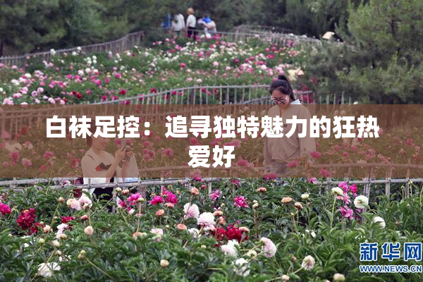 白袜足控：追寻独特魅力的狂热爱好