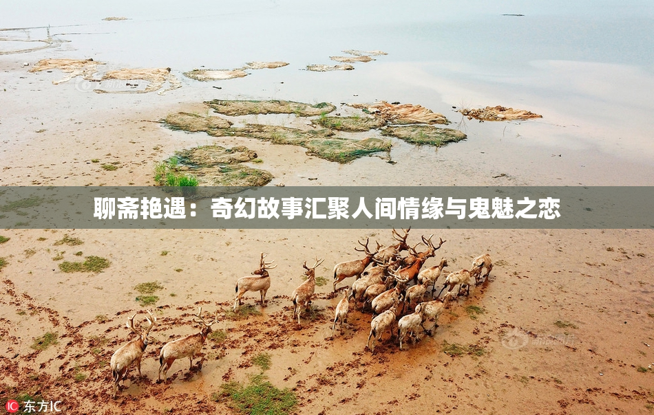 聊斋艳遇：奇幻故事汇聚人间情缘与鬼魅之恋