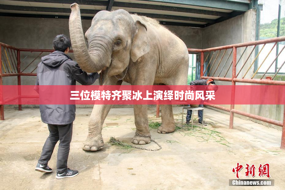 三位模特齐聚冰上演绎时尚风采