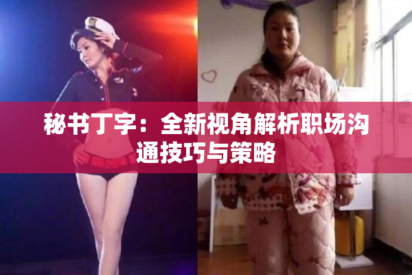 秘书丁字：全新视角解析职场沟通技巧与策略