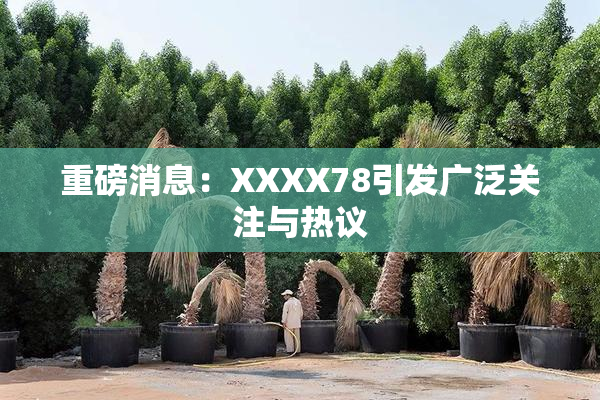 重磅消息：XXXX78引发广泛关注与热议