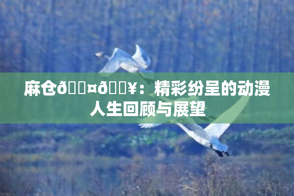 麻仓🖤🔥：精彩纷呈的动漫人生回顾与展望