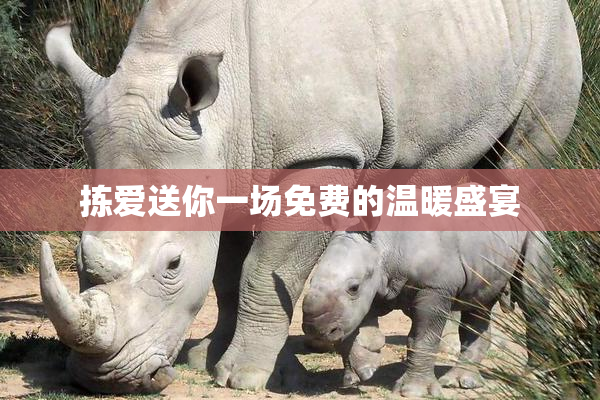 拣爱送你一场免费的温暖盛宴