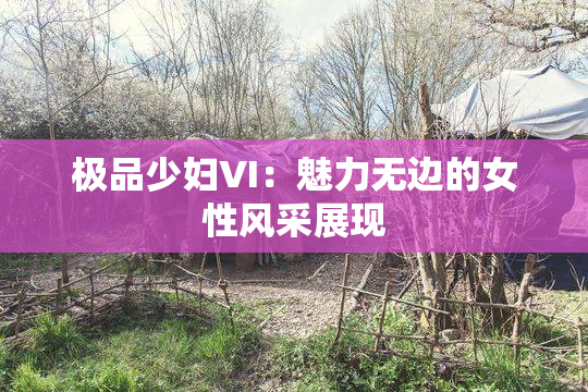 极品少妇VI：魅力无边的女性风采展现
