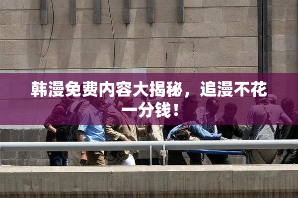 韩漫免费内容大揭秘，追漫不花一分钱！