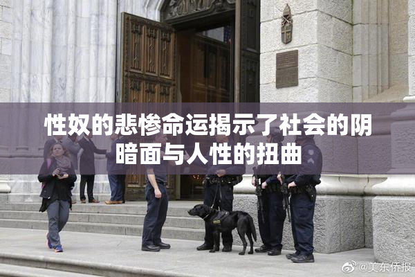 性奴的悲惨命运揭示了社会的阴暗面与人性的扭曲