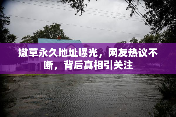 嫩草永久地址曝光，网友热议不断，背后真相引关注