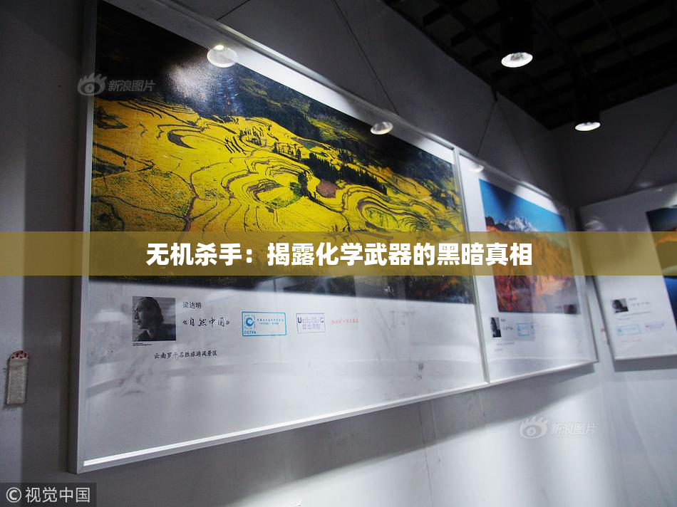 无机杀手：揭露化学武器的黑暗真相
