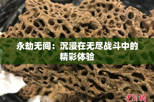 永劫无间：沉浸在无尽战斗中的精彩体验