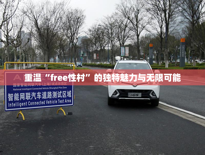 重温“free性村”的独特魅力与无限可能