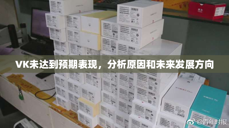 VK未达到预期表现，分析原因和未来发展方向