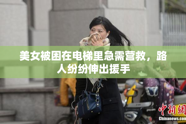 美女被困在电梯里急需营救，路人纷纷伸出援手