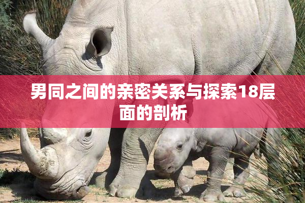 男同之间的亲密关系与探索18层面的剖析