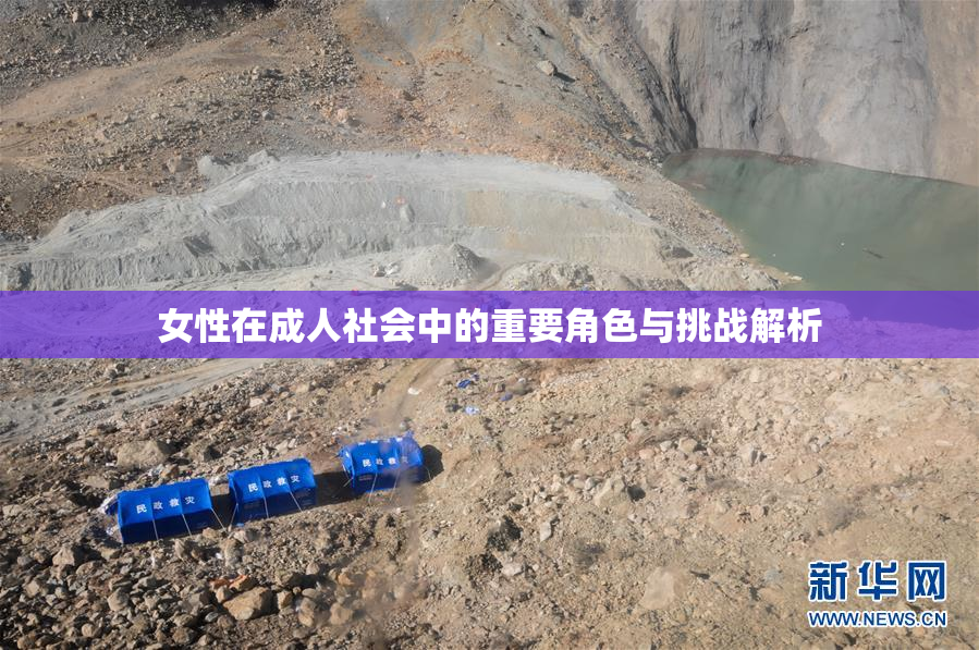 女性在成人社会中的重要角色与挑战解析