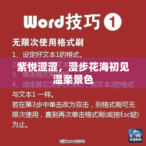 紫悦涩涩，漫步花海初见温柔景色