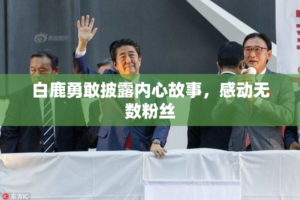 白鹿勇敢披露内心故事，感动无数粉丝