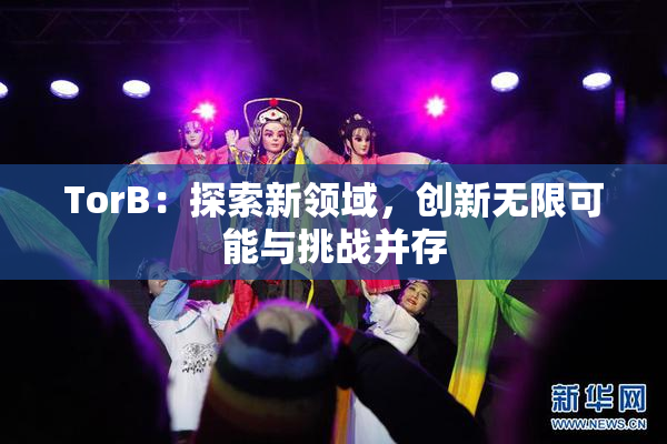 TorB：探索新领域，创新无限可能与挑战并存