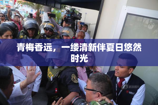 青梅香远，一缕清新伴夏日悠然时光