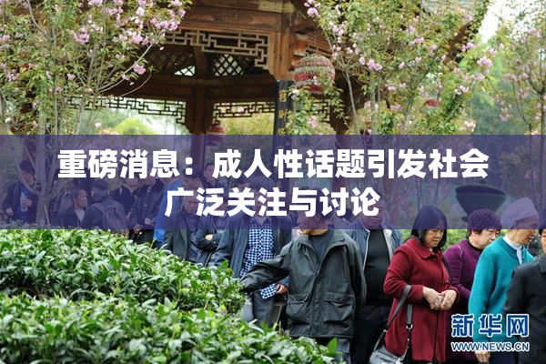 重磅消息：成人性话题引发社会广泛关注与讨论